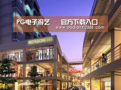 案例展示一(图1)