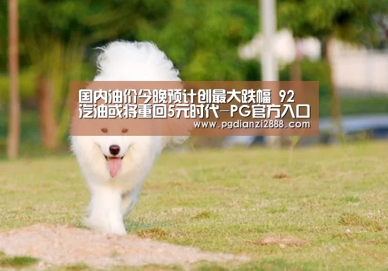 国内油价今晚预计创最大跌幅 92汽油或将重回5元时代-PG官方入口(图1) PG麻将平台