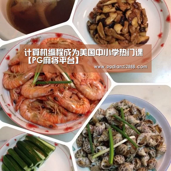 计算机编程成为美国中小学热门课【PG麻将平台】(图2) PG官方入口