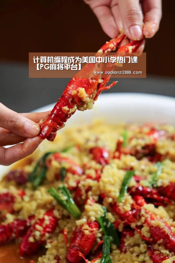计算机编程成为美国中小学热门课【PG麻将平台】(图3) PG电子游艺