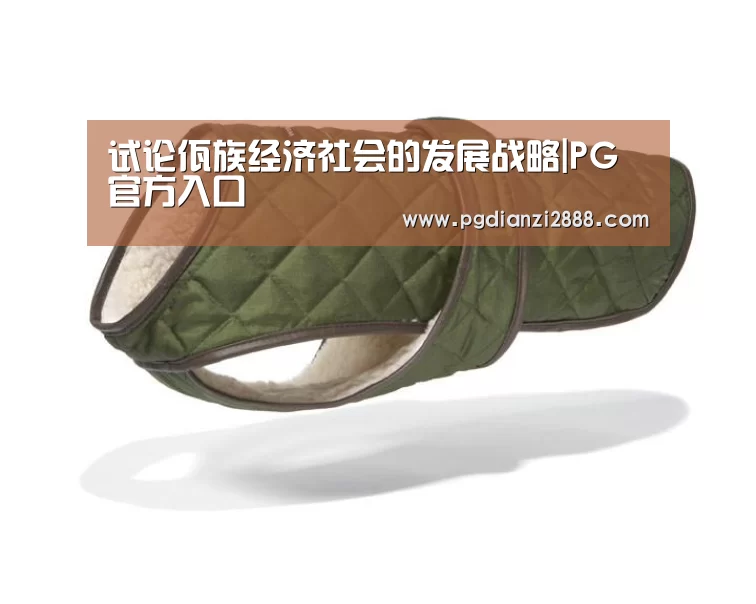 试论佤族经济社会的发展战略|PG官方入口(图2) PG麻将平台