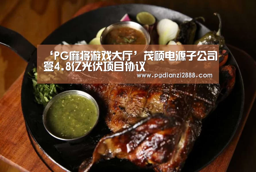 ‘PG麻将游戏大厅’茂硕电源子公司签4.8亿光伏项目协议(图1) PG官方入口