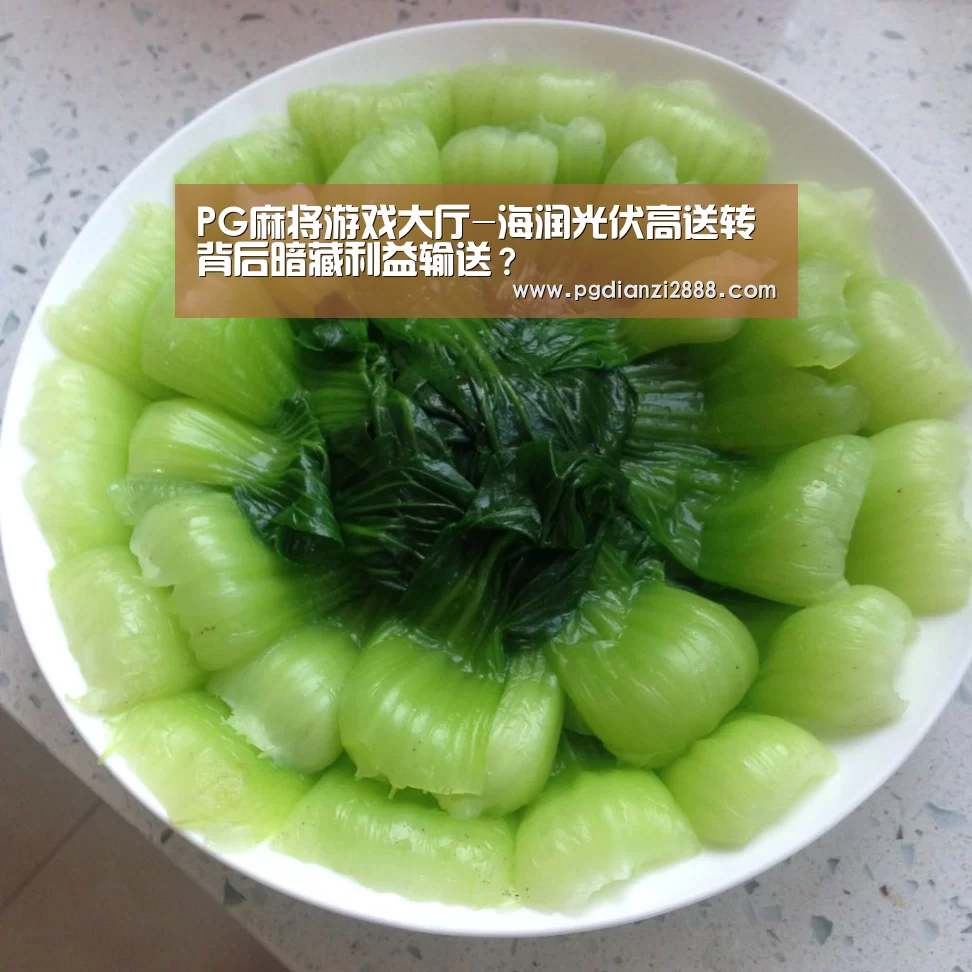 PG麻将游戏大厅-海润光伏高送转背后暗藏利益输送?(图2) PG电子游艺